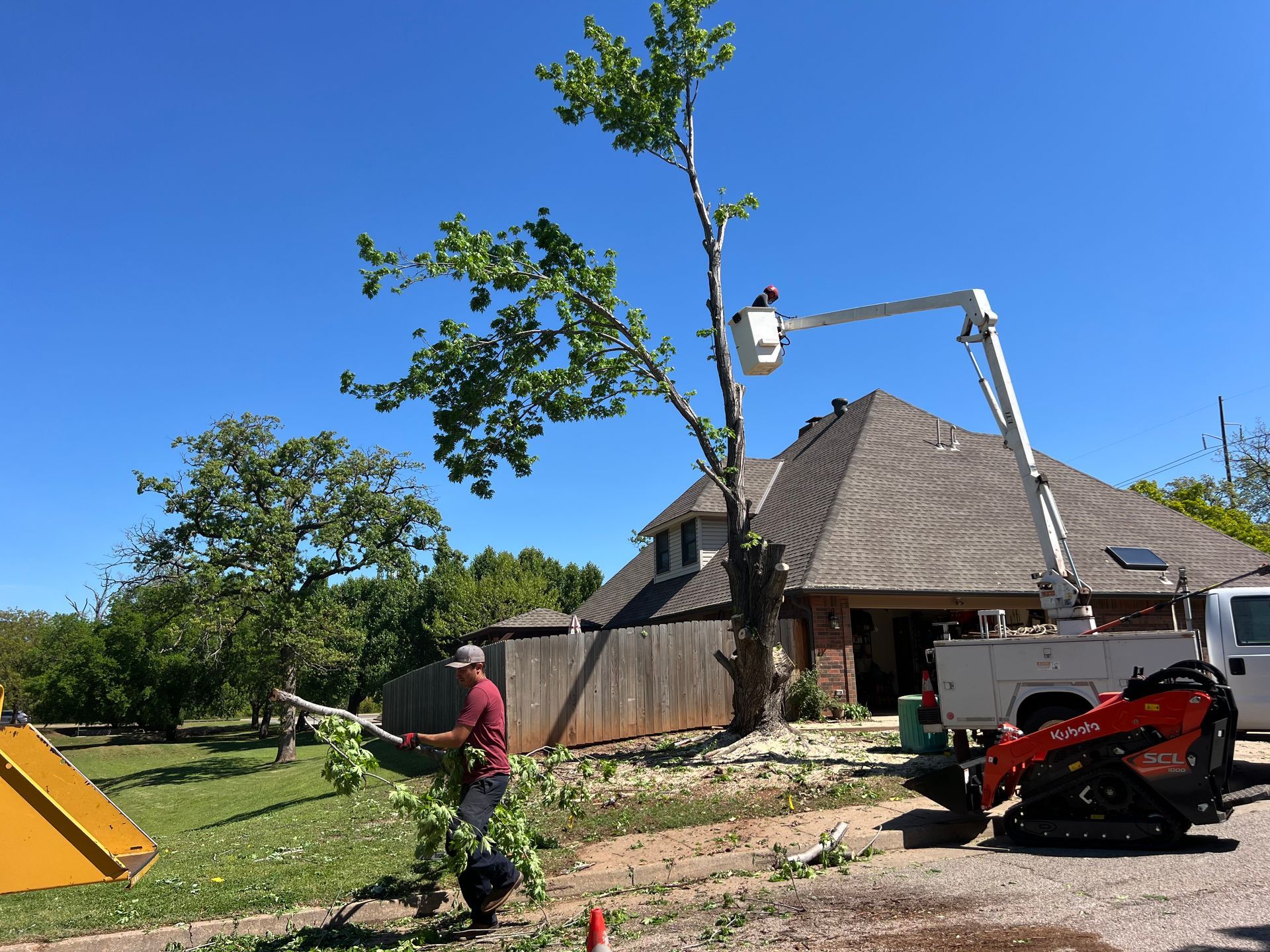 Storm Damage Tree Service