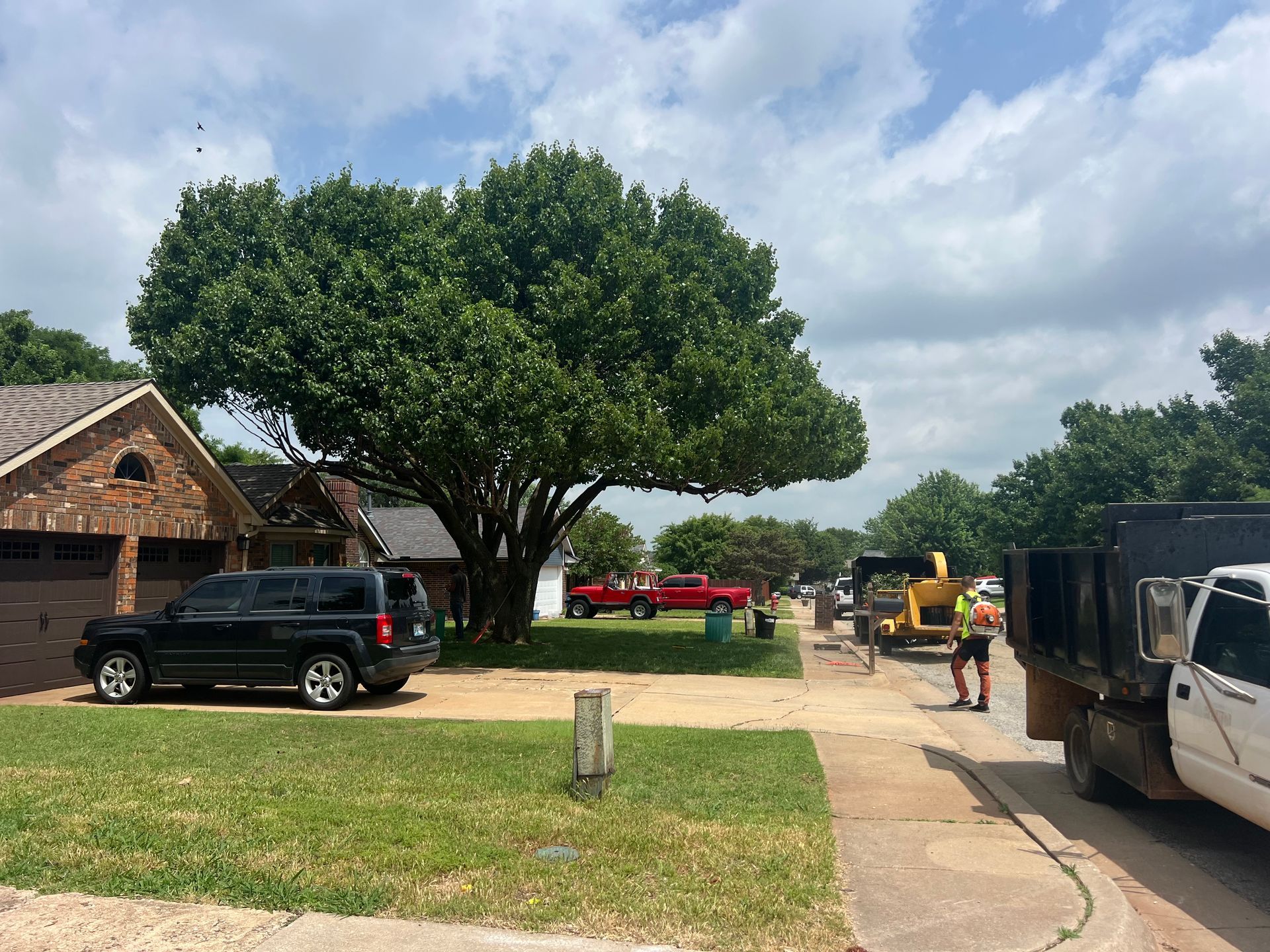 Parked vehicles and a large tree beside a house and driveway on a sunny day