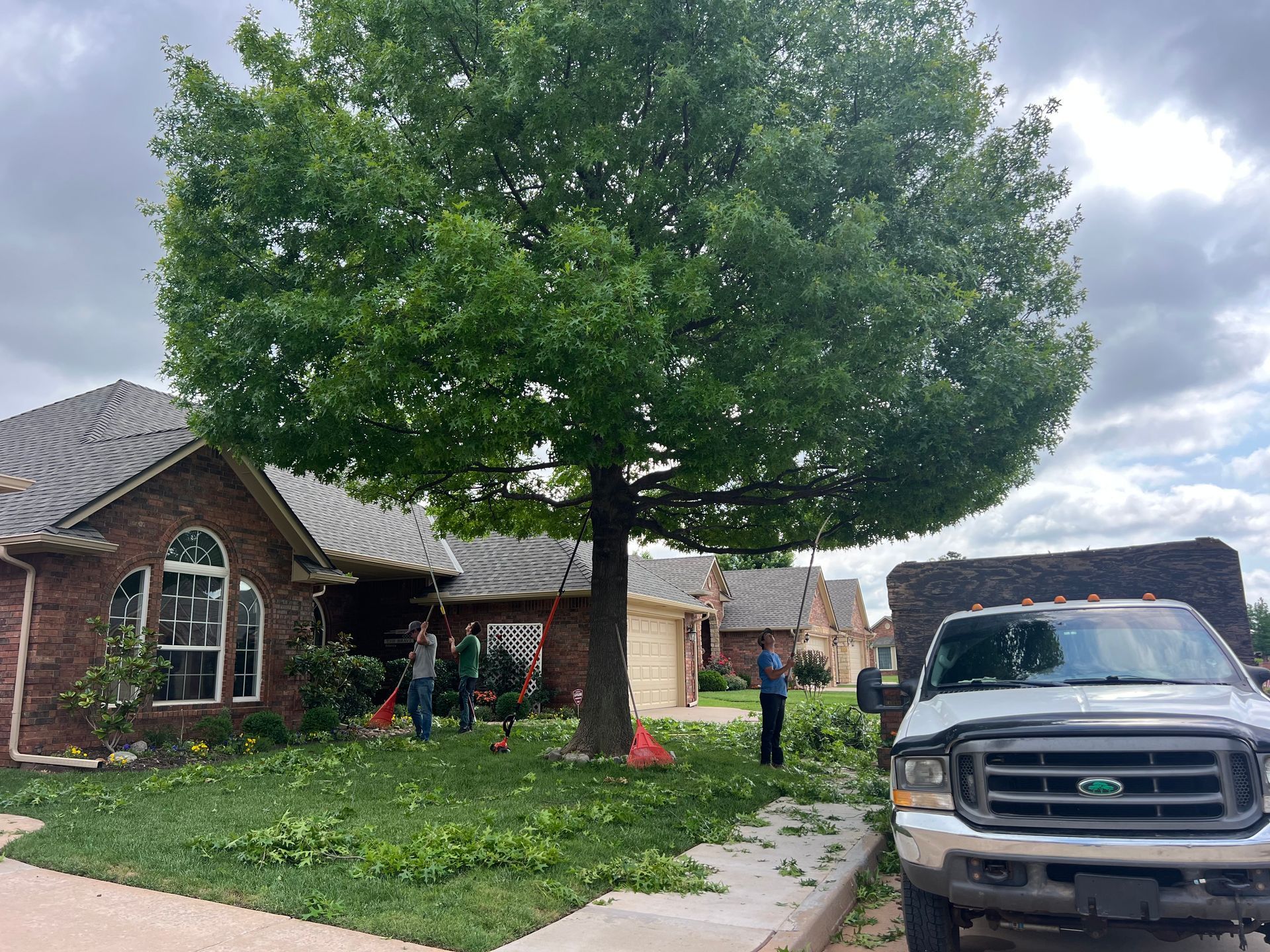Tree Trimming & Pruning