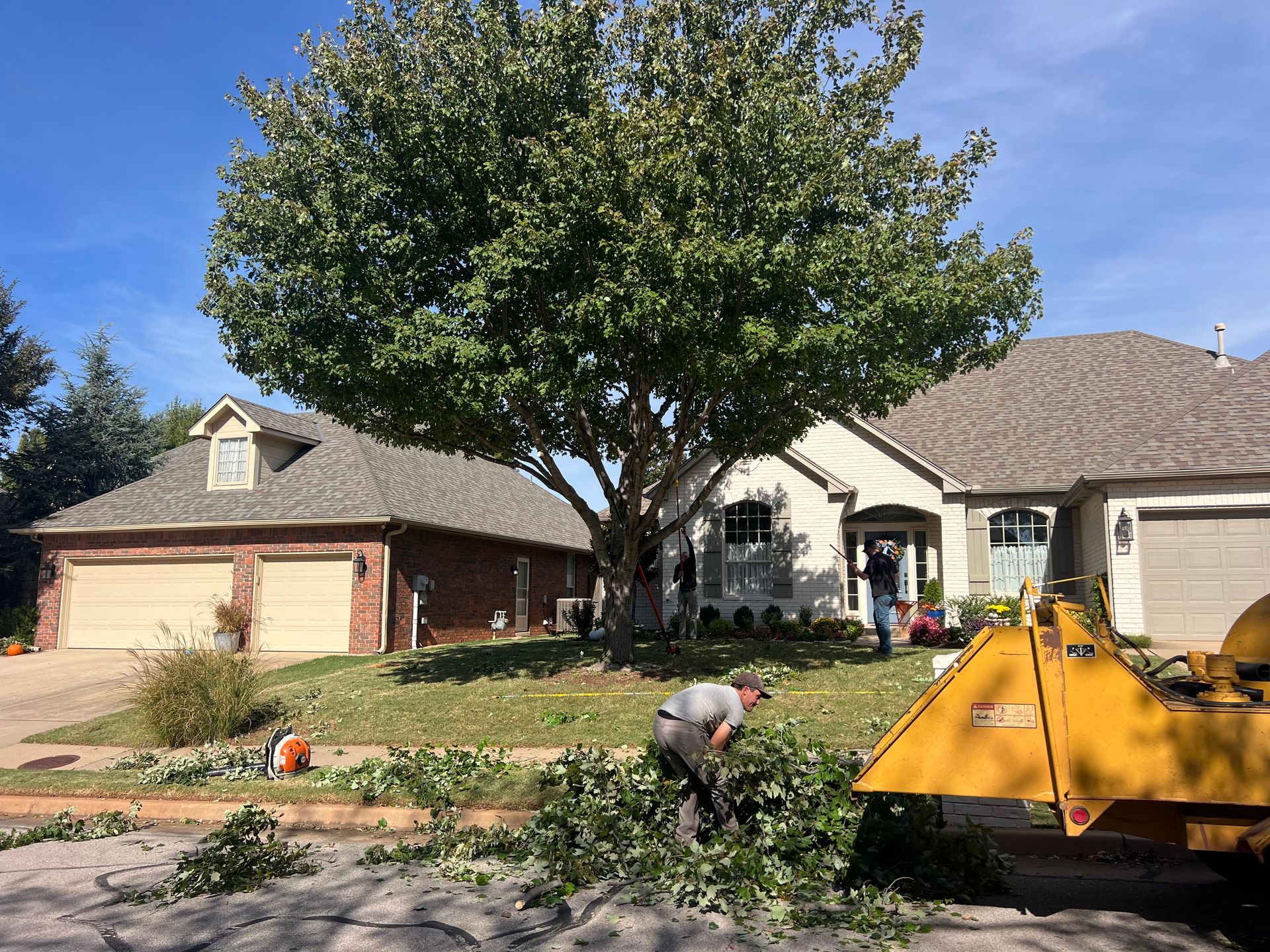Tree Trimming and Pruning