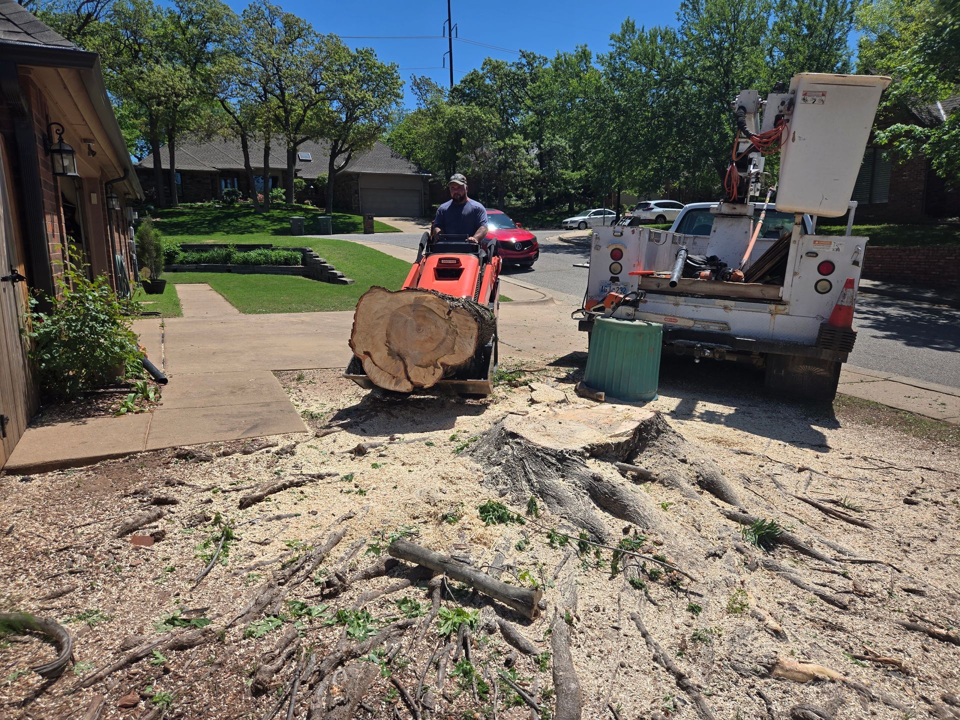 Tree Removal