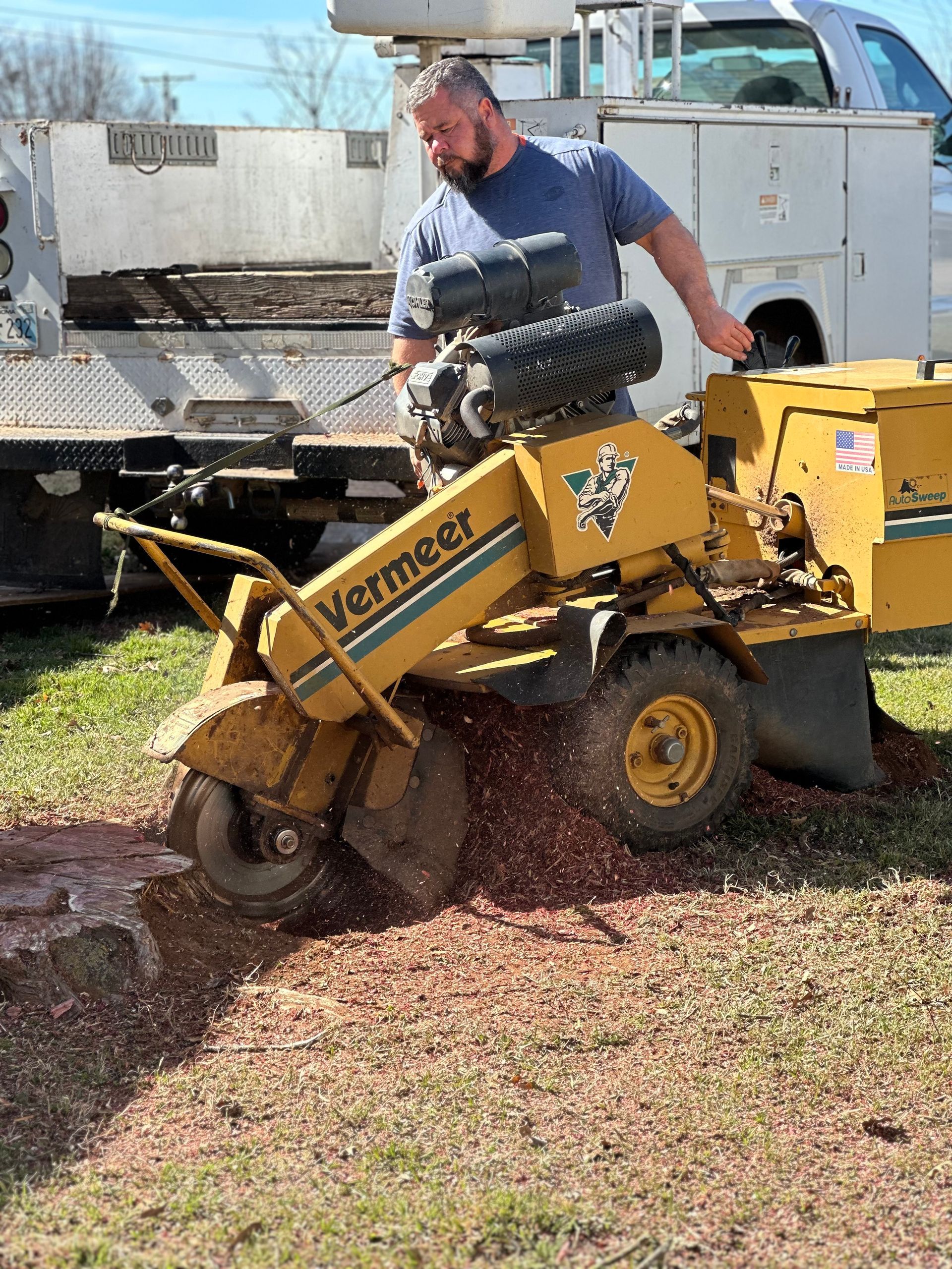 Worker operating a yellow Vermeer stump grinder, spraying wood chips in a yard.