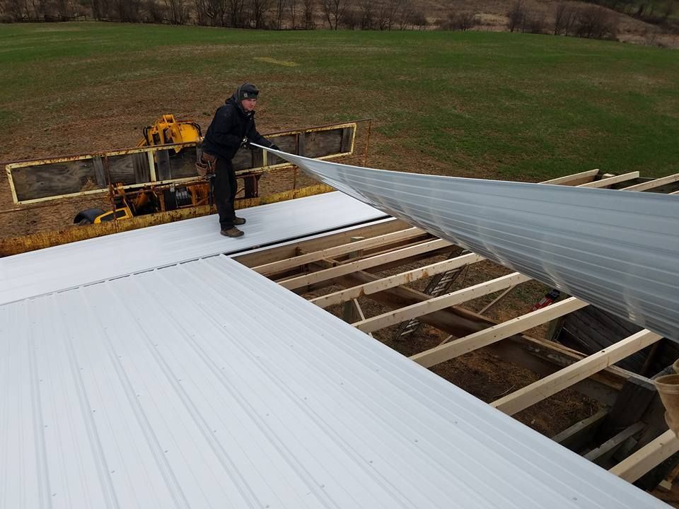 A person installs a long white corrugated metal roofing panel onto wooden roof trusses above a grassy field.