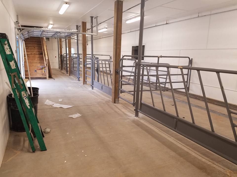 A long, indoor barn aisle with a concrete floor, wooden support pillars, and metal livestock fencing along one side.