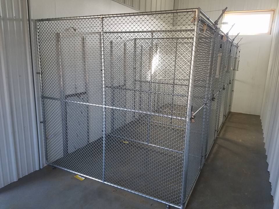 A large, empty storage unit enclosed by chain-link metal fencing and a door in an indoor facility.