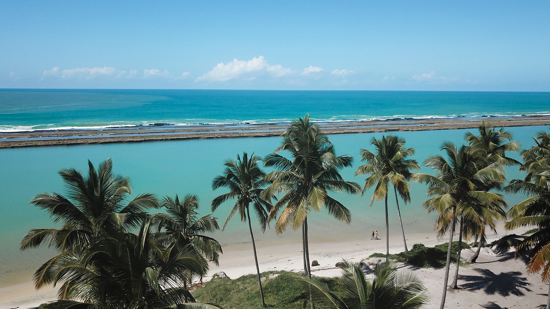 Imagem aérea da praia de Muro Alto, com palmeiras ao longo da faixa de areia branca, águas azuis tranquilas, e um céu claro ao fundo, criando um cenário paradisíaco.