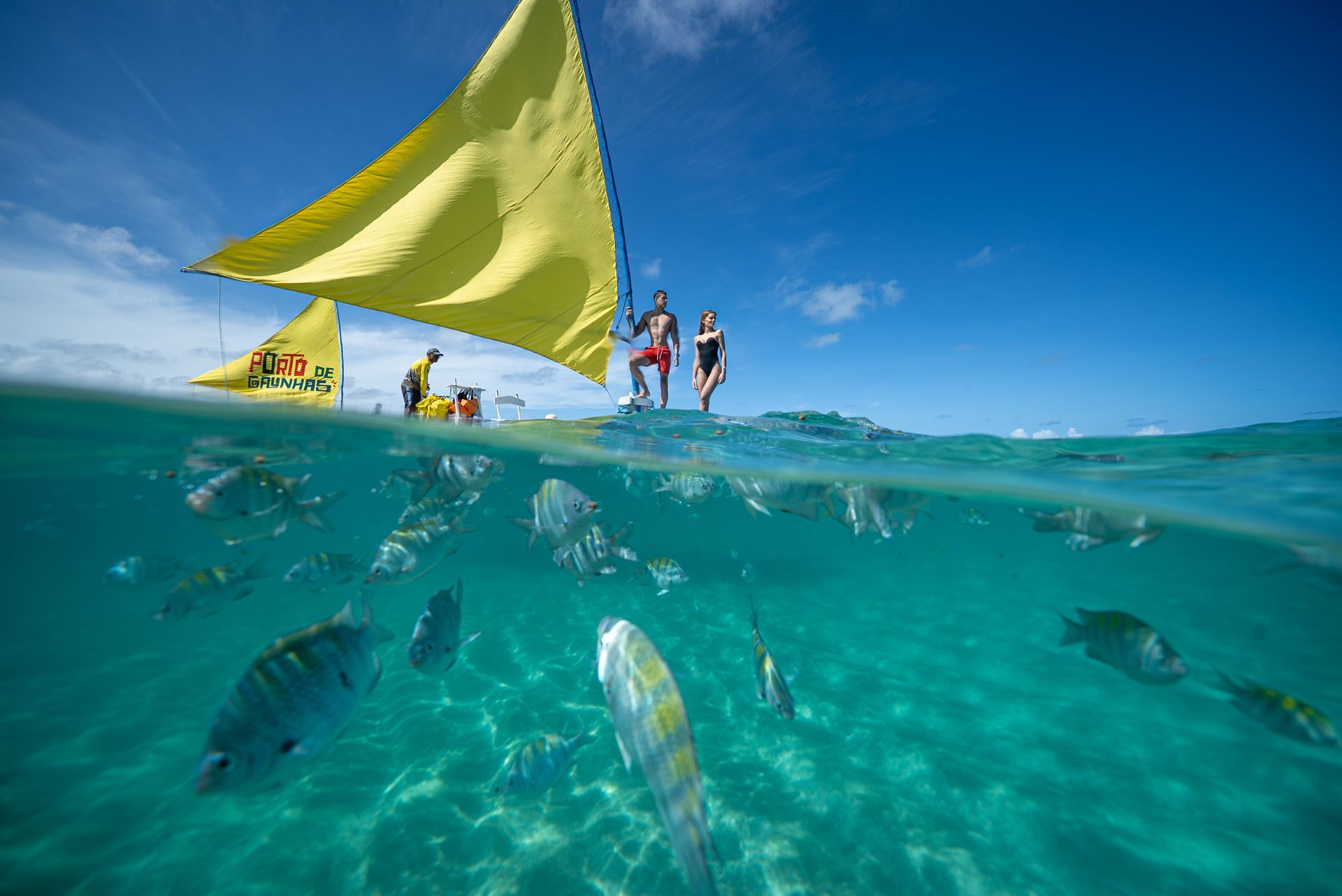 Imagem split-level: acima, pessoas em barquinho com vela amarela no mar; abaixo, peixes tropicais nadando em águas claras de Porto de Galinhas