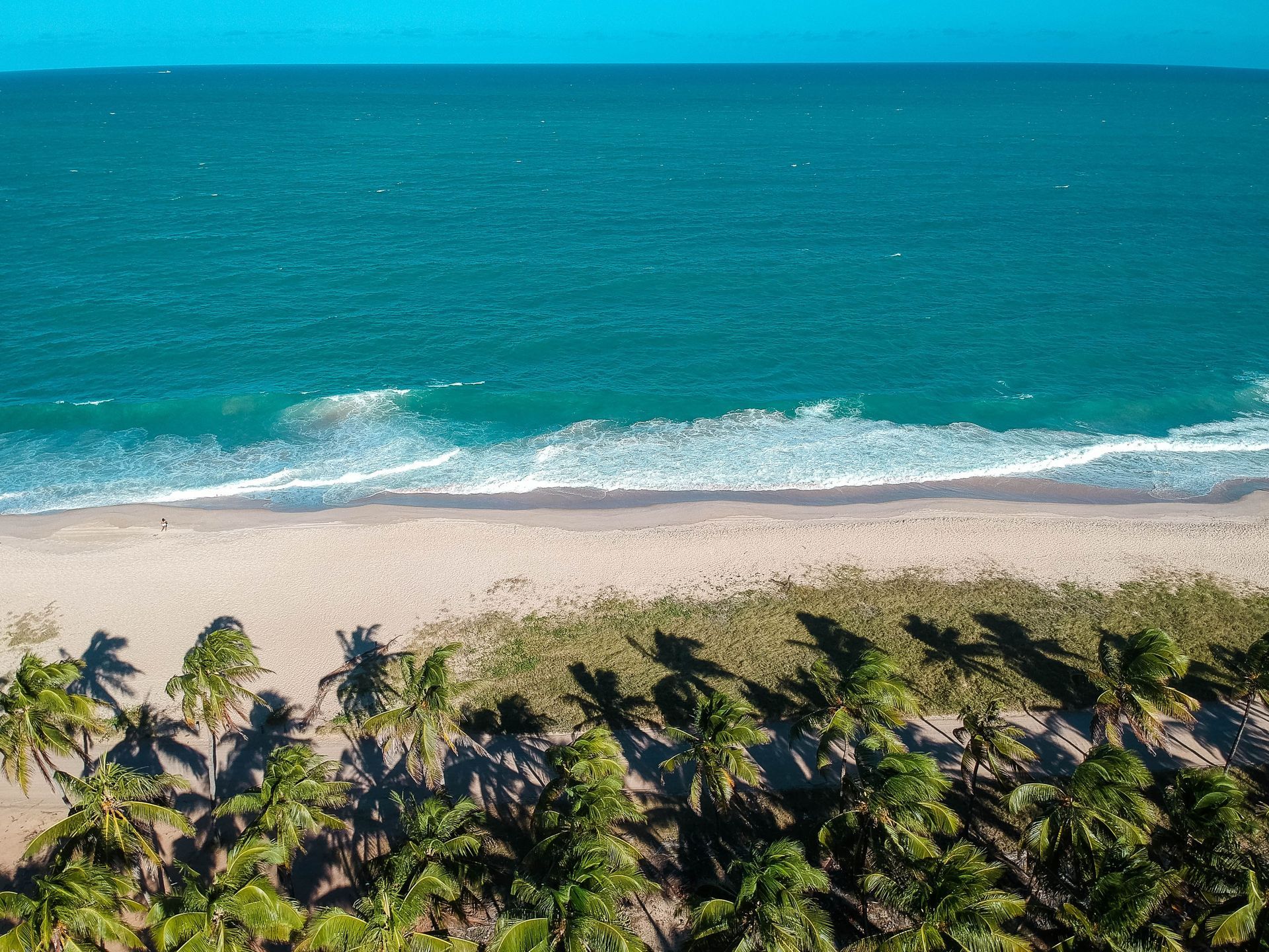 Vista aérea de uma praia paradisíaca com mar azul, faixa de areia clara e coqueiros projetando sombras na orla.