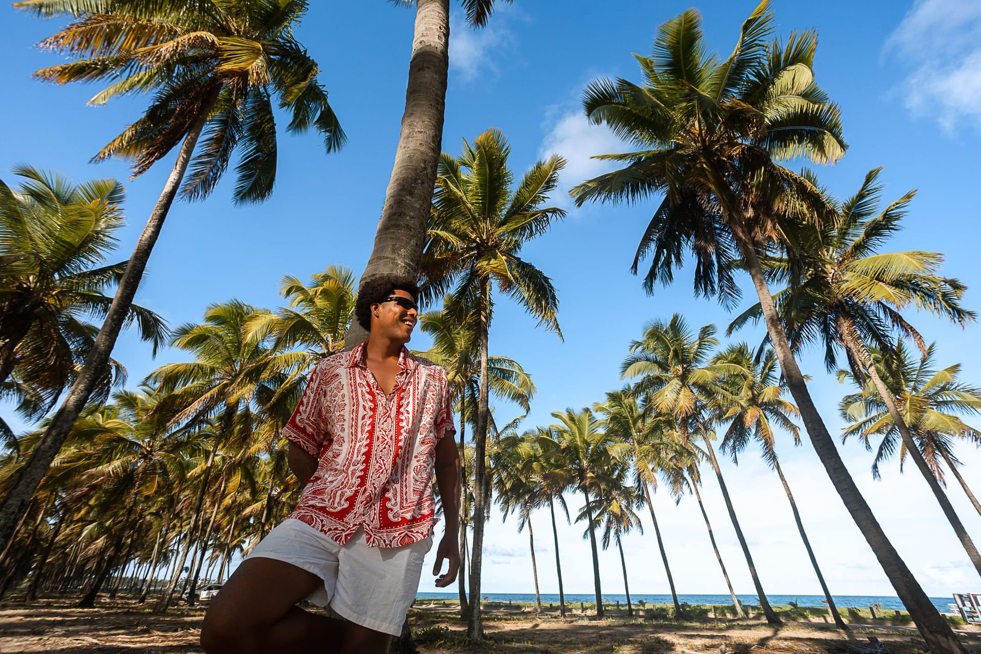 Homem usando camisa estampada vermelha e branca e shorts brancos encostado em um coqueiro, em meio a um extenso coqueiral à beira-mar em dia ensolarado.