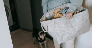 Person carrying a large gray tote with a dog peeking out, walking indoors past a small dog.