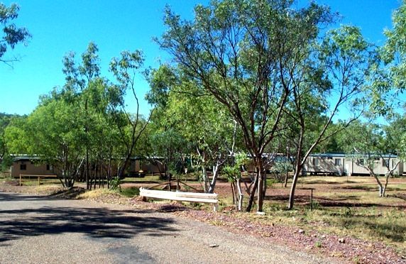 A park with a lot of trees and buildings in the background.