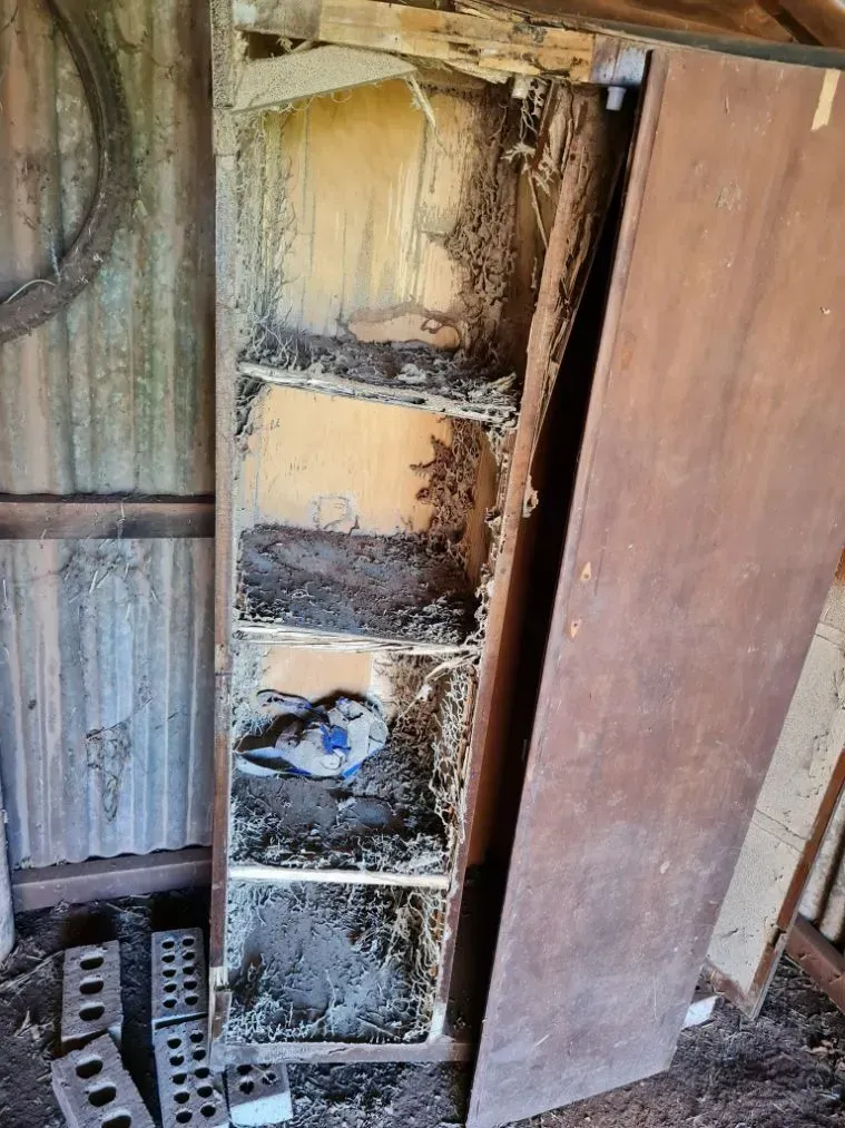 Termite-damaged Wooden Cabinet With Shelves, Brown Exterior — Dominion Pest Control in Kingaroy, QLD