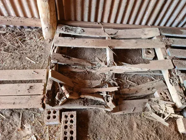 Termite riddled wooden structure with dirt and broken bricks — Dominion Pest Control in Nanango, QLD