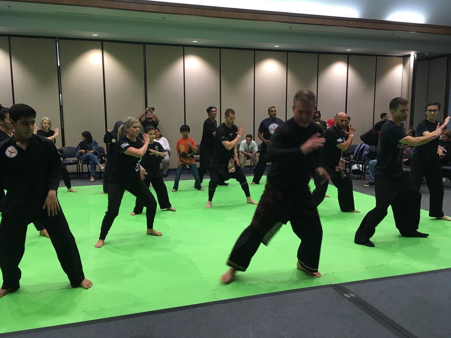 A group of people are practicing martial arts on a green mat.