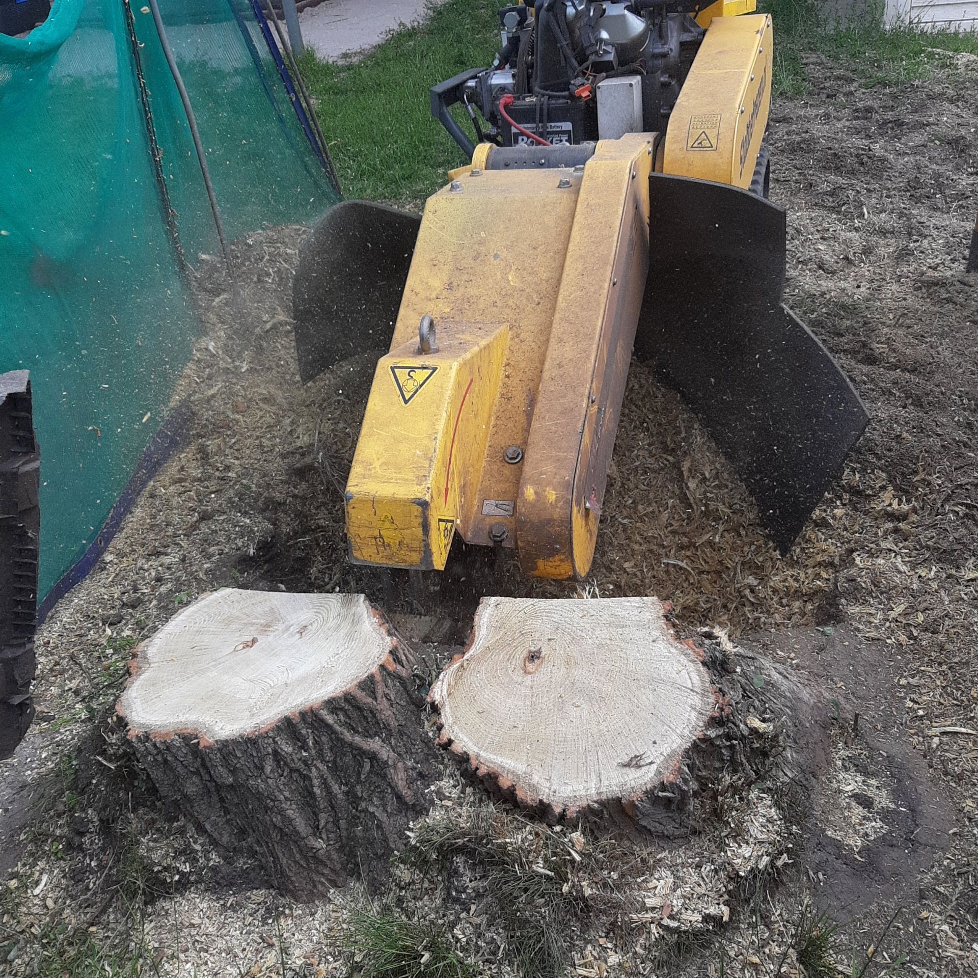 Een gele stronkenfrees maalt twee boomstronken op de grond fijn, waardoor houtsnippers ontstaan.