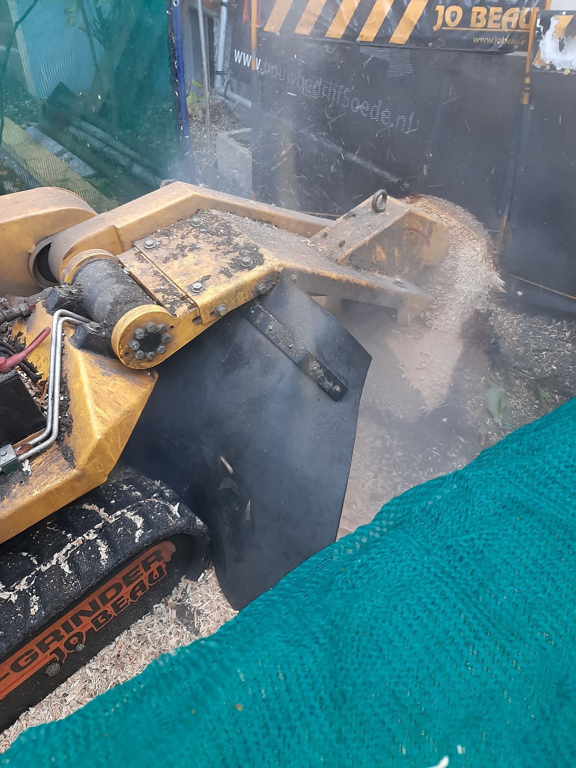 Gele stronkenfrees die hout tot zaagsel vermalen.