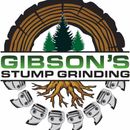 Gibson’s Stump Grinding is Your Stump Removal Specialist in Townsville Gibson’s Stump Grinding is Your Stump Removal Specialist in Townsville