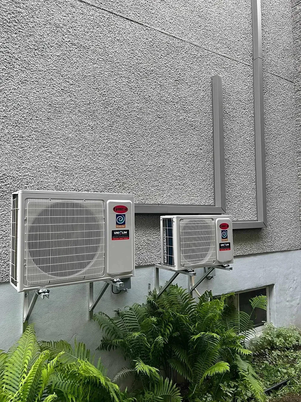 Deux unités de climatisation fixées sur un mur extérieur gris gravillonné, au-dessus d'une plante verte feuillue.