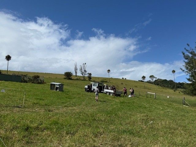 People stand near a pickup truck in a grassy field under a sunny, partly cloudy sky.
