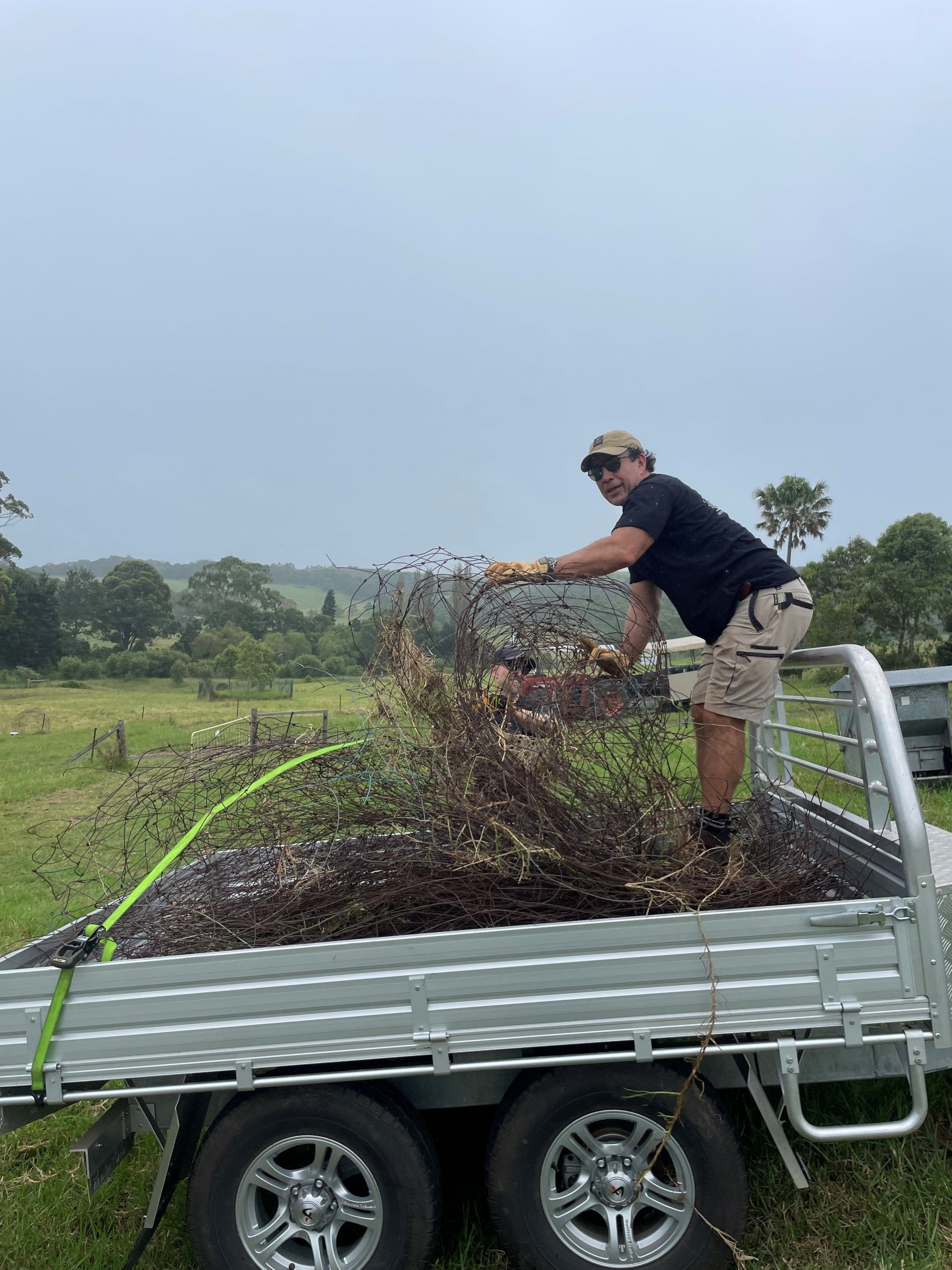 A person in a black shirt and tan shorts stands on a trailer bed, tossing dry brush off the side in a rural field.