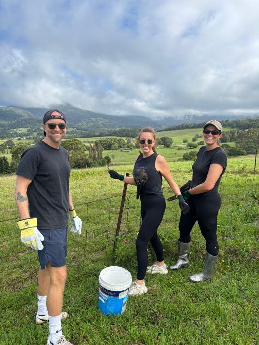 Three people wearing work gloves and casual clothes stand in a grassy field with a bucket, working on a wire fence.