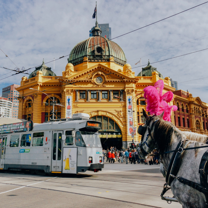 A horse with pink plumes on its head stands before a tram and the iconic yellow dome of Flinders Street Station.