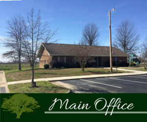Brick office building with leafless trees and sign reading “Main Office” under blue sky