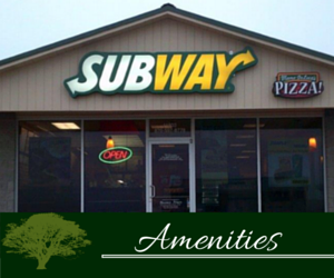 Subway storefront with illuminated sign, open neon, and “Amenities” banner at bottom