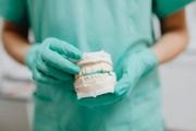 Dentist in green gloves holding a dental model of upper and lower teeth.