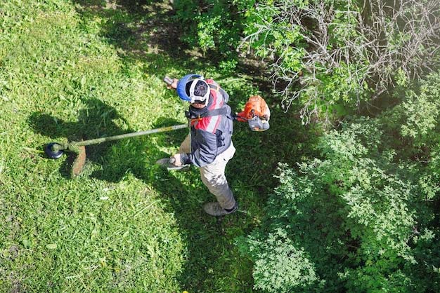 Tree Consulting - Stockton, CA - Twin Rivers