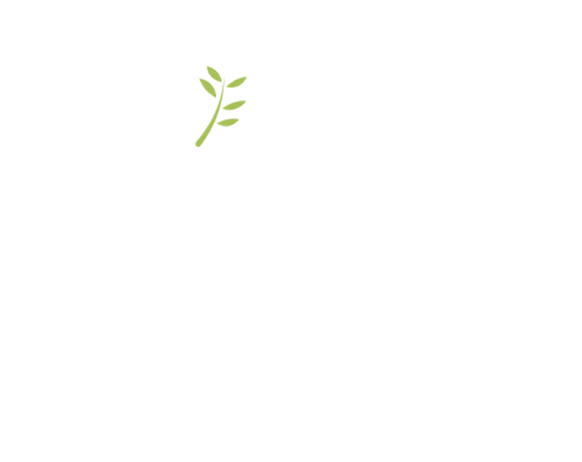 logo-image