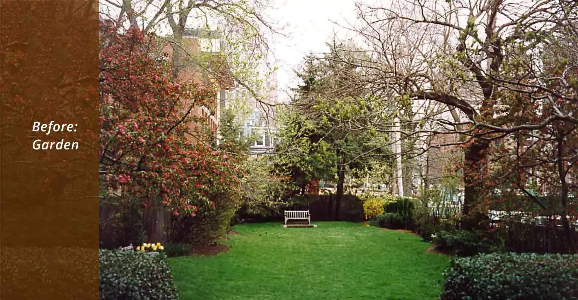 elizabethan_club_before