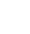 Pace Enterprises Logo