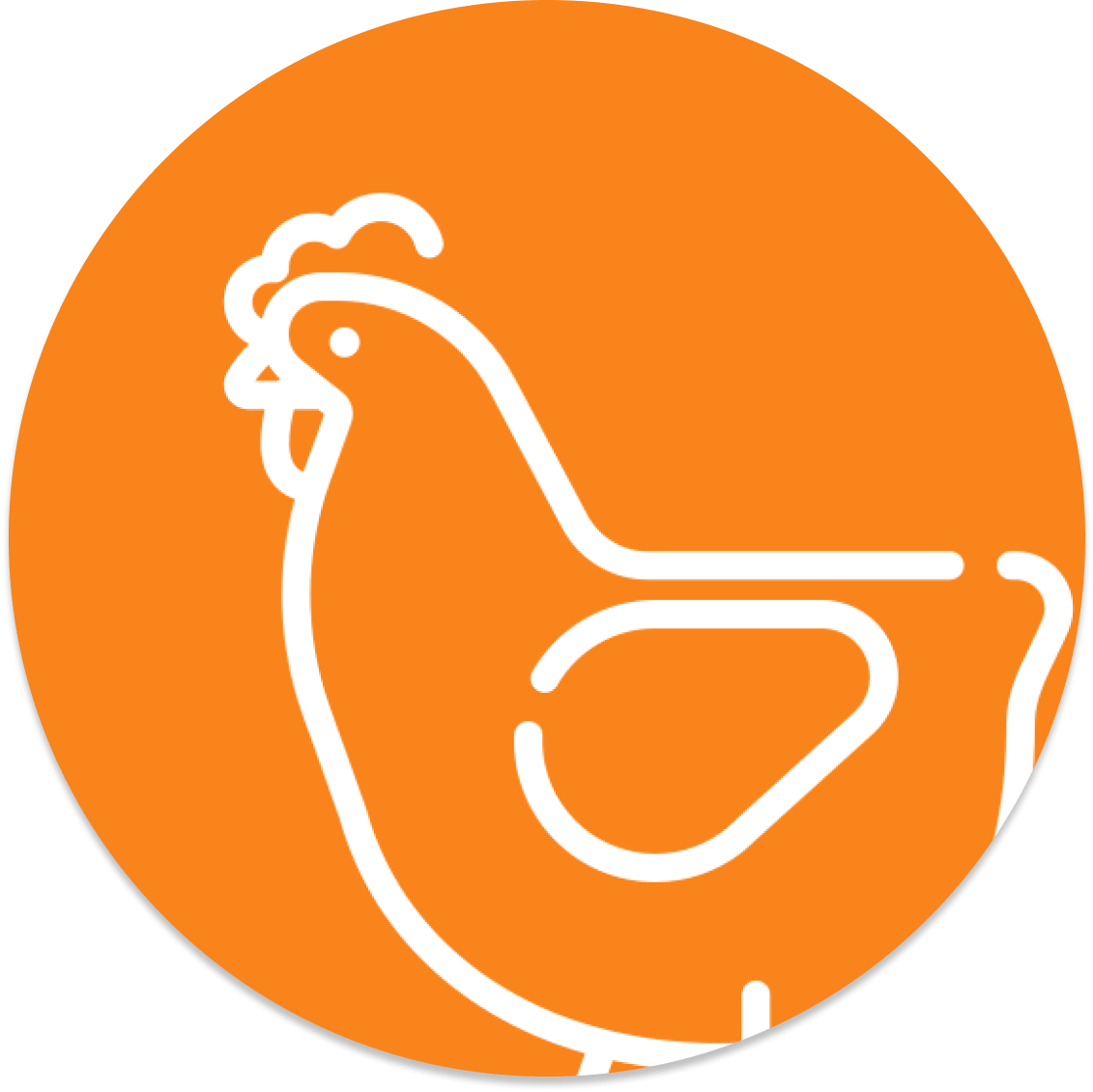 Contour blanc d'un poulet à l'intérieur d'un cercle orange.