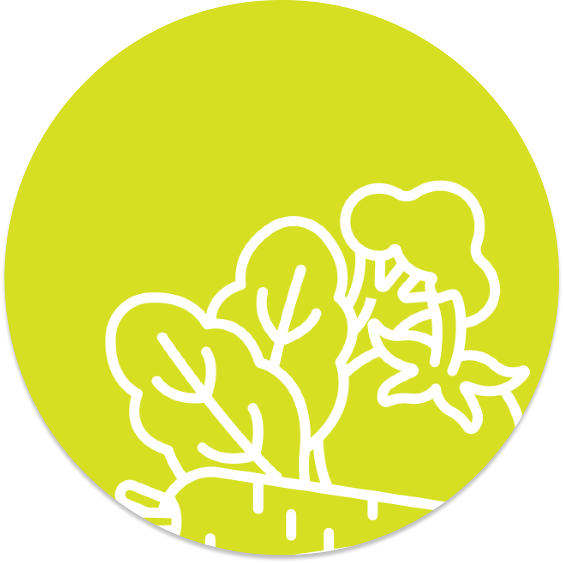 Cercle vert avec contour blanc de carottes et de légumes verts à feuilles.