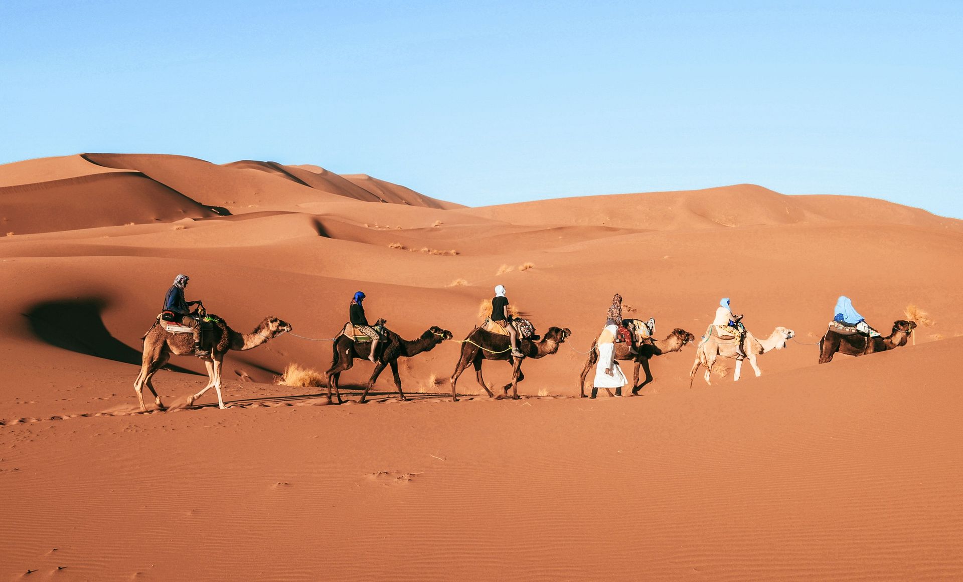 Camels and riders crossing orange desert dunes under a clear blue sky
