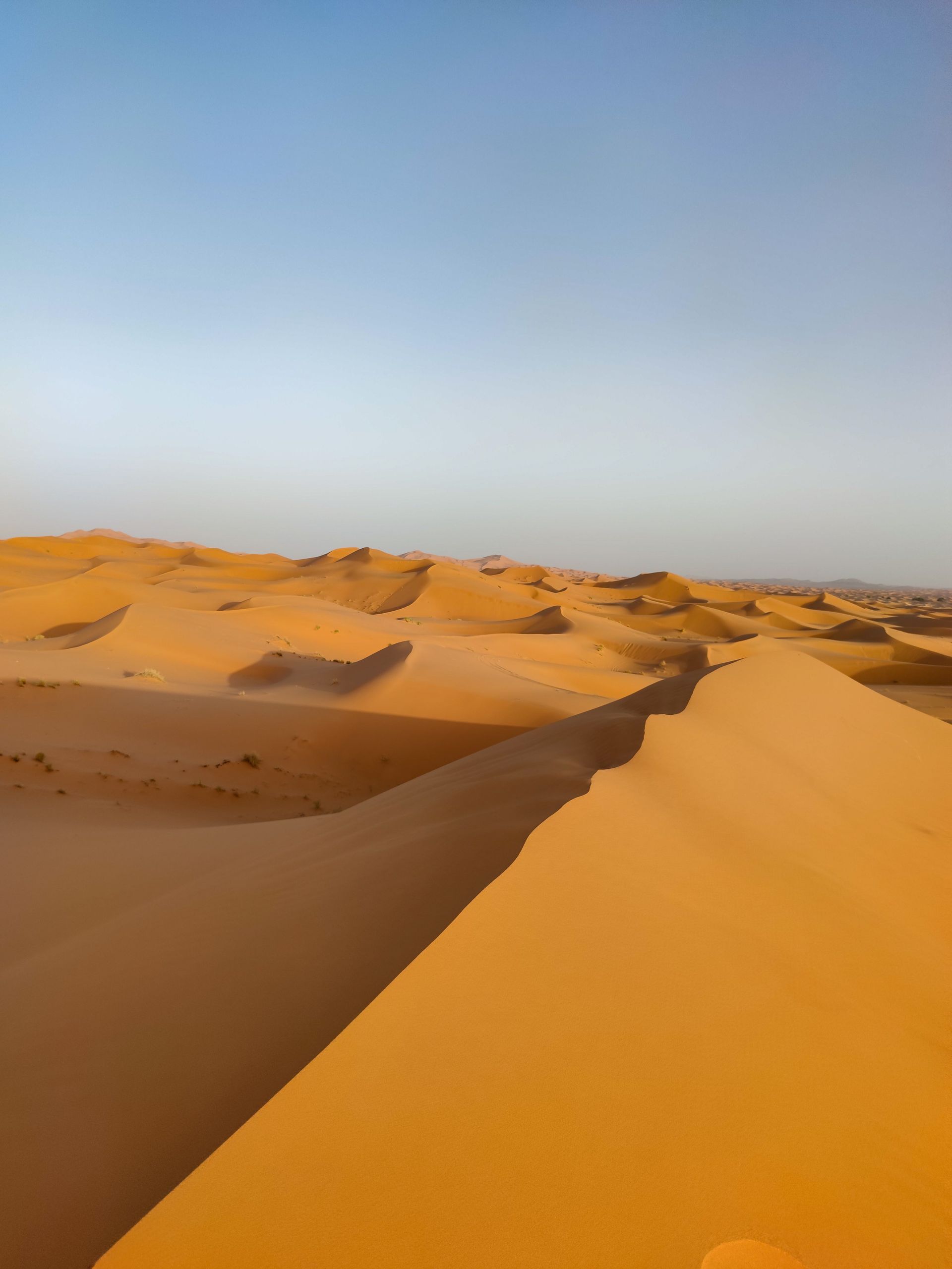 Golden sand dunes under a clear blue sky in a vast desert landscape