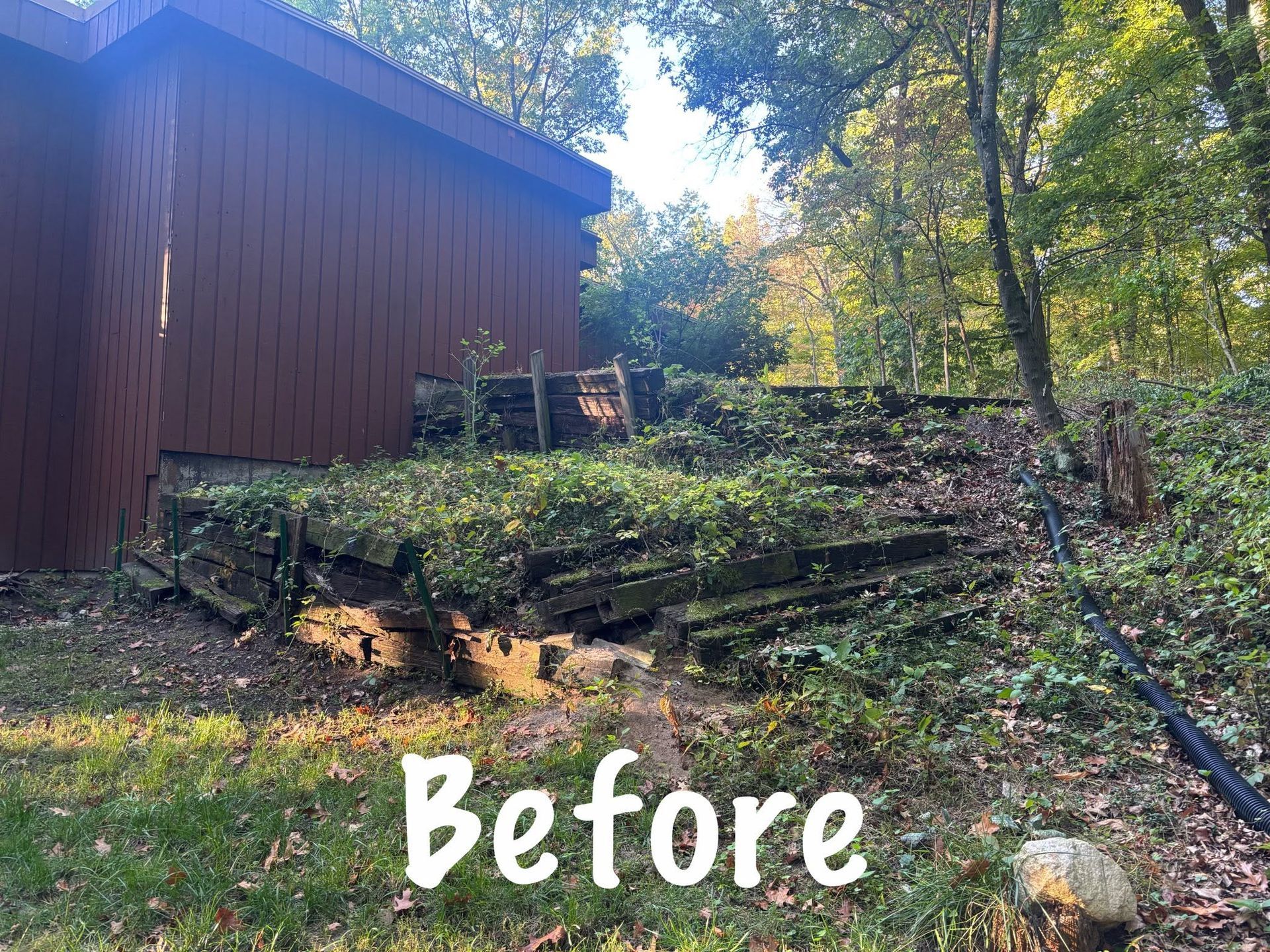Wooded hillside beside a brown building, with cut logs and overgrowth; “Before” text at bottom.