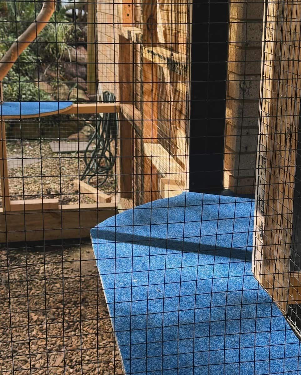 Blue Bench Inside a Fenced Animal Enclosure With Dirt Ground and Wooden Posts — Catios By Paulie in Wollongong, NSW