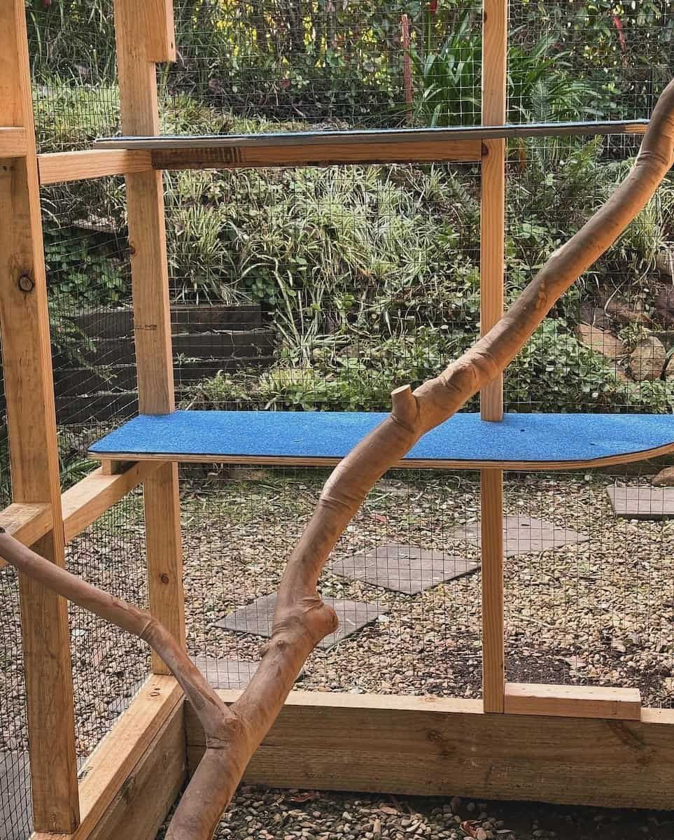 Wooden Bird Enclosure With a Blue Perch and Branches in Front of a Garden Backdrop — Catios By Paulie in Wollongong, NSW