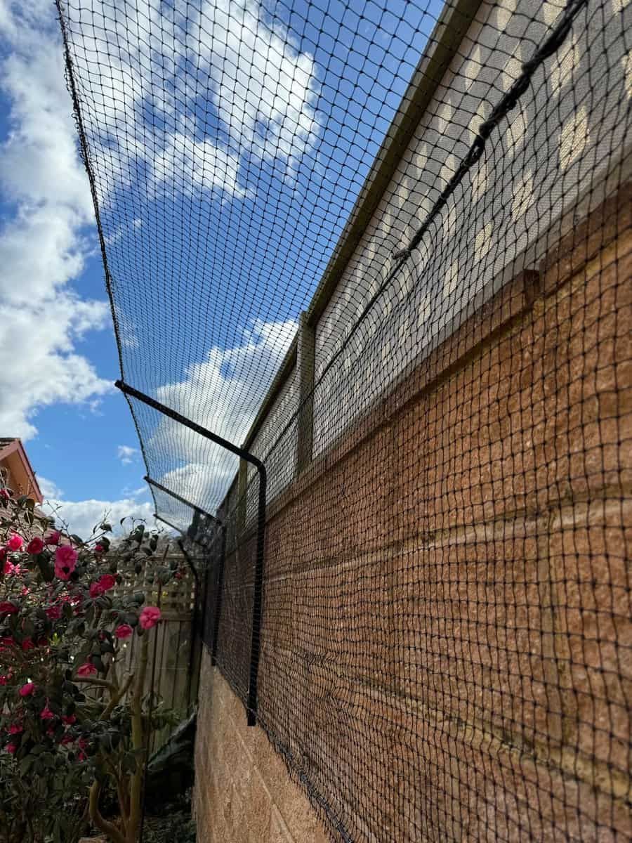 Mesh Safety Net Along a Rooftop Wall Under a Blue Sky With Clouds — Catios By Paulie in Wollongong, NSW