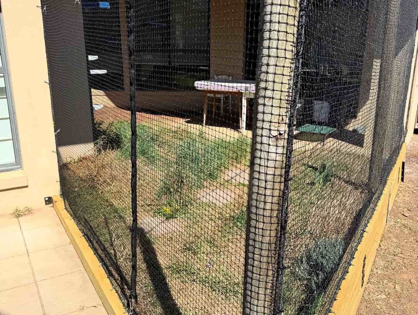 Black Mesh Screen Enclosure Around a Small Grassy Yard Beside a Tiled Patio — Catios By Paulie in Wollongong, NSW