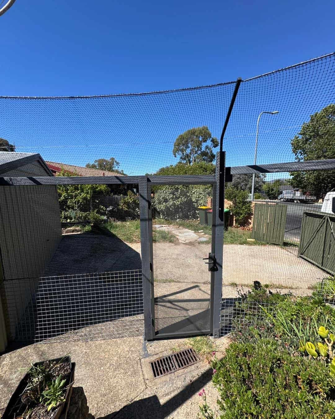 Mesh-covered Backyard Gate Opening Onto a Sunny Dirt Path Under a Blue Sky — Catios By Paulie in Blackbutt, NSW