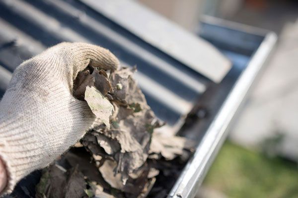 Male Hand Removing Gutter Leaves — Clarksville, TN — GutterPRO, Inc.