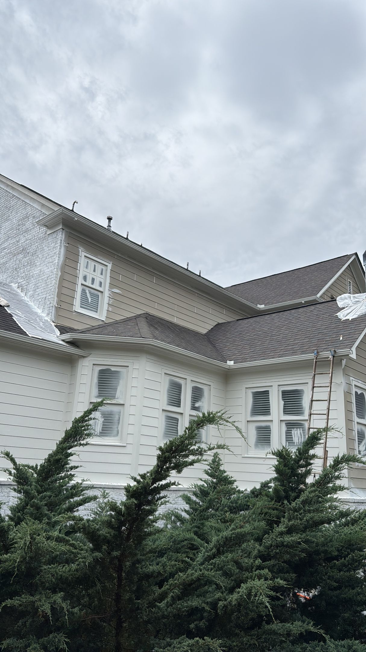 White house with gray roof and ornate windows, partly hidden by evergreen trees under a cloudy sky