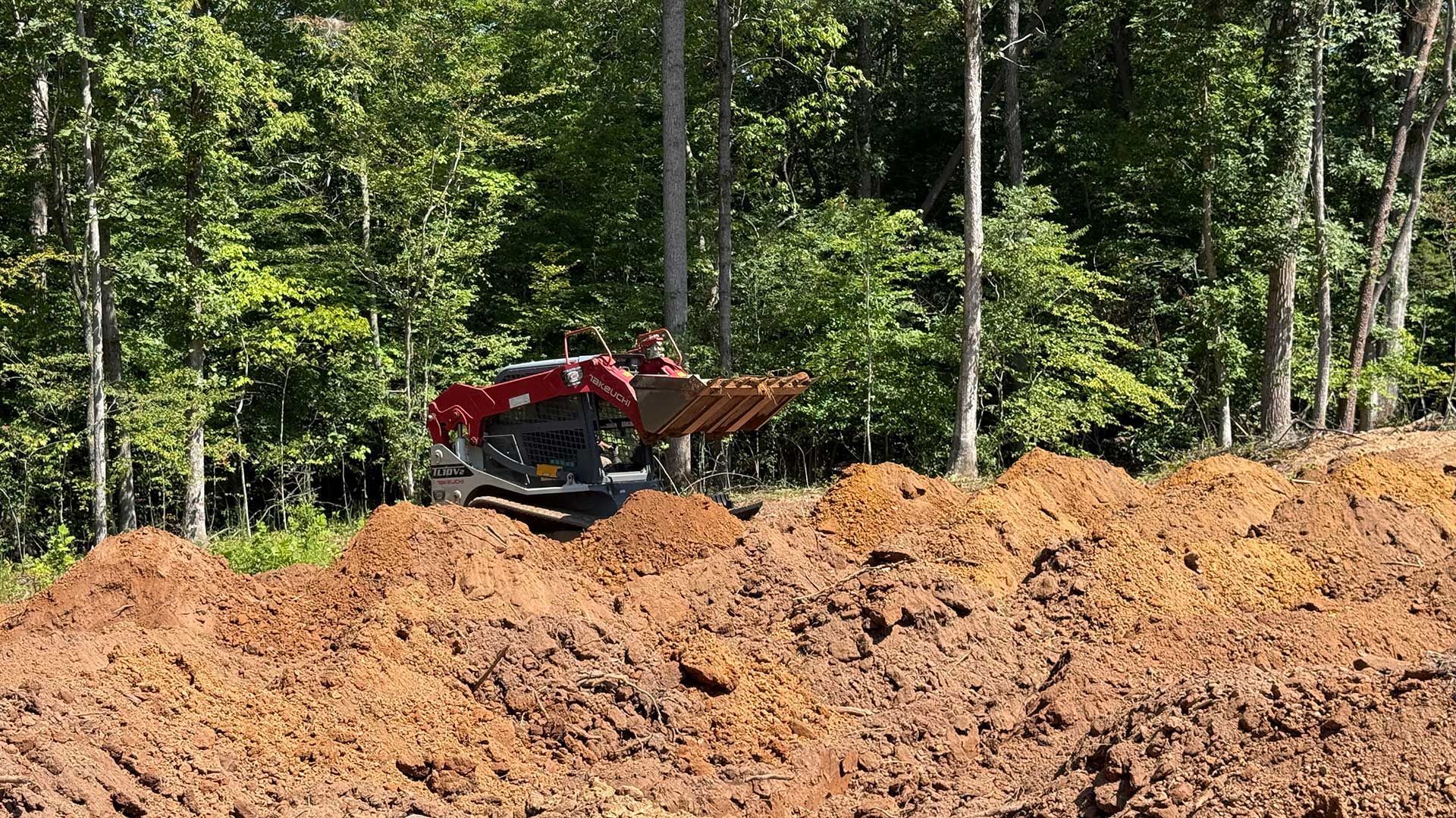 septic services 81