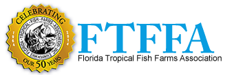 FTFFA Logo