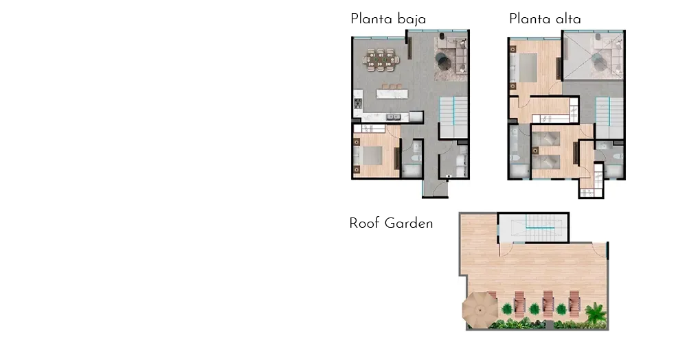 Departamento 503