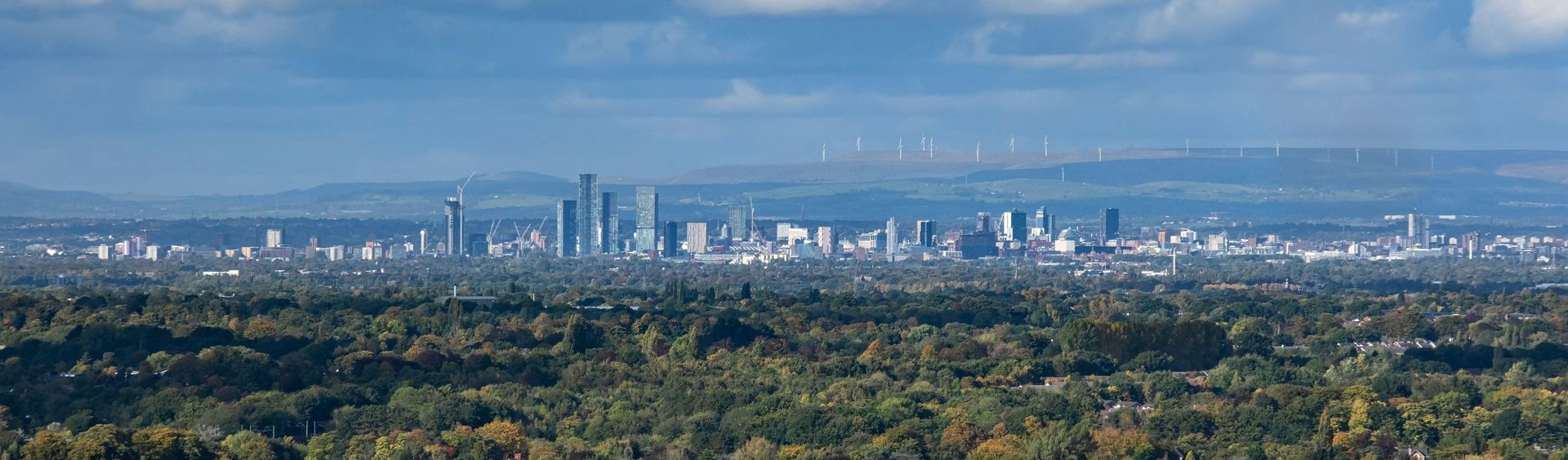 City skyline seen above a dense green forest under a clear blue sky.