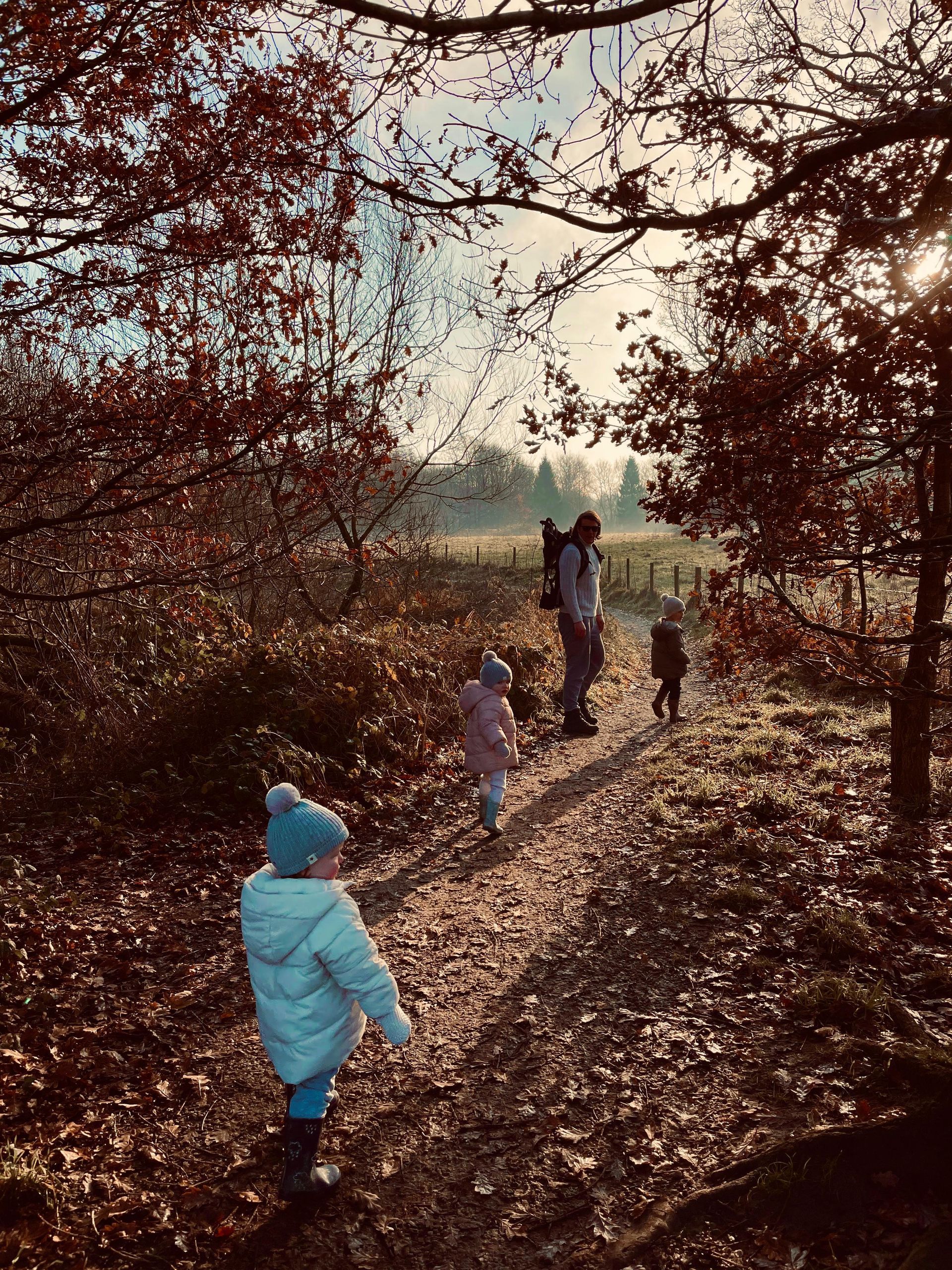 People walking along a leaf-covered forest path in autumn, seen through arching trees.